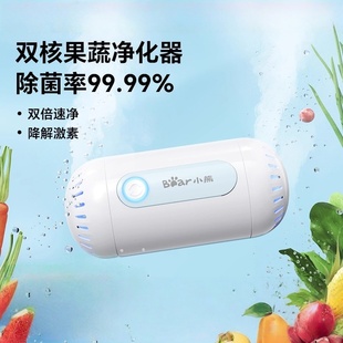 冰尊果蔬清洗机家用净菜宝净化双核无线洗水果神器食材去农药残留