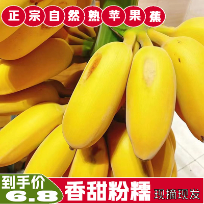 发顺丰广东苹果蕉现摘现发