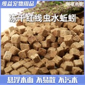 冻干红线虫饵料鱼食水蚯蚓粘贴片鱼粮红丝虫燕鱼七彩孔雀热带饲料