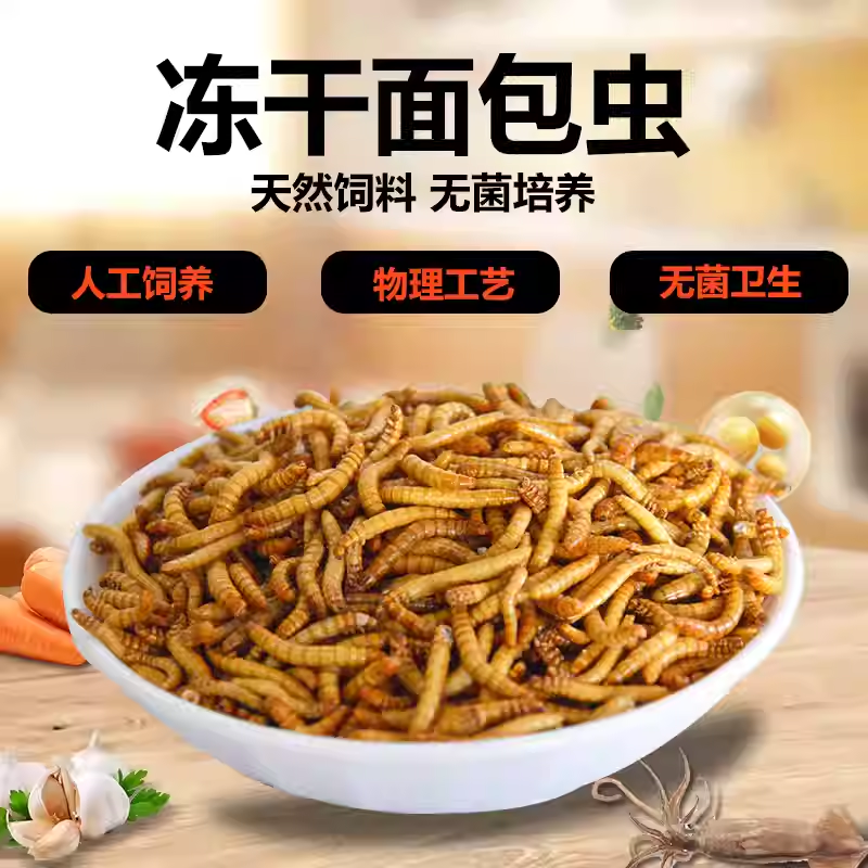 面包虫子活体黄粉虫鲜活大麦虫鹦鹉八哥乌龟小鸟食活的饲料钓鱼