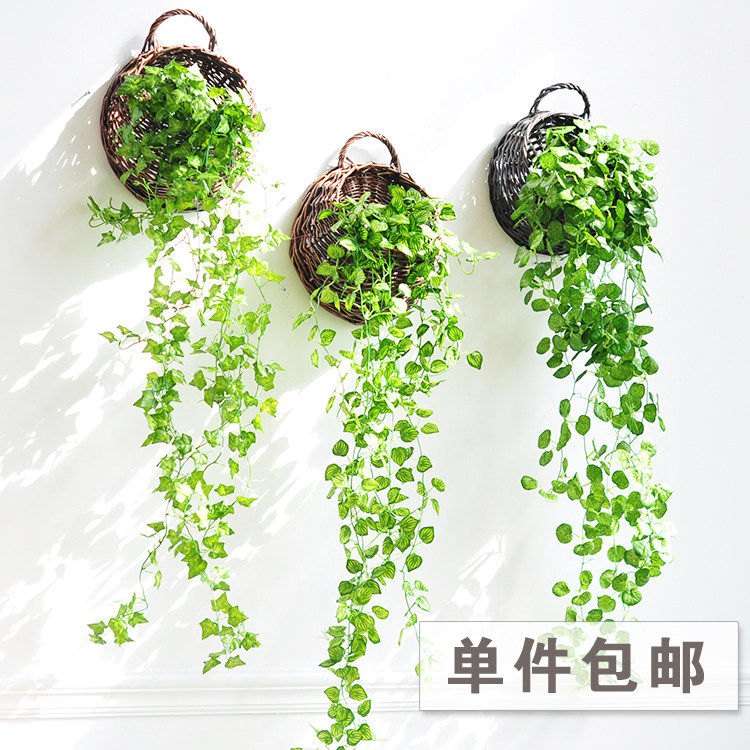 植物吊篮壁挂真花藤真墙饰餐厅家居藤条墙面装饰客绿植绿萝图片