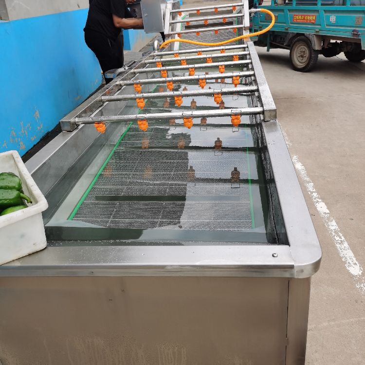 大枣清洗设备 果蔬清洗机 油菜菠菜清洗机 鼎迅 气泡清洗机厂家