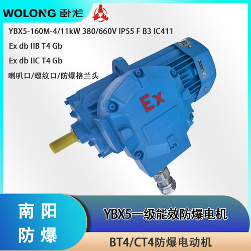 卧龙南阳防爆1级能效洗车喷壶