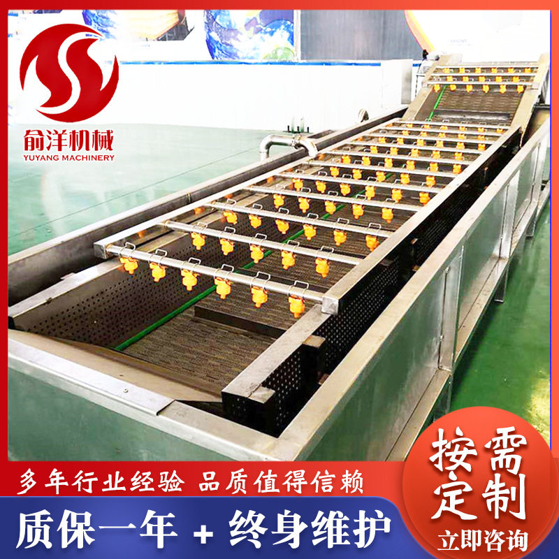 果蔬气泡清洗机 诸城俞洋机械 蓝莓水果气泡清洗机清洗干净质量好