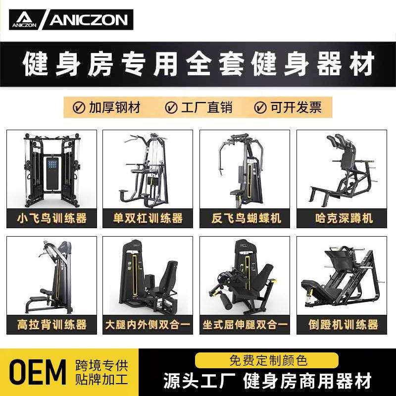 健身房反飞鸟训练器商用推胸举肩训练器腿屈伸后抬腿高低拉背器材