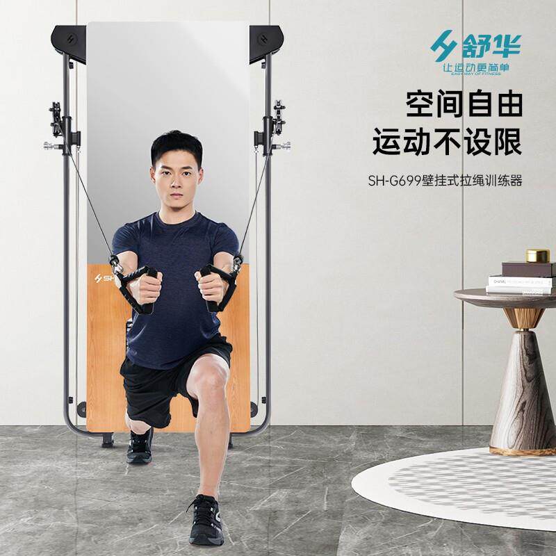 舒华SH-G699家用靠墙固定壁挂式拉绳训练多功能室内综合健身器材