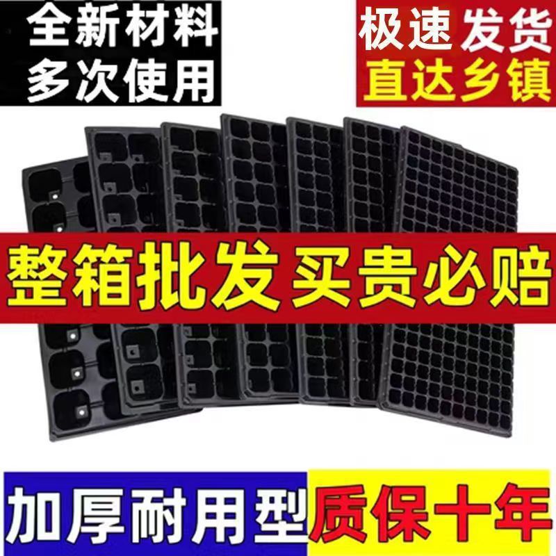 家用园艺育苗穴盘多肉花卉播种育苗盘加厚硬材质出苗整齐育苗托盘