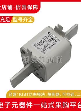 170M5952/5953/5954/5955/5956/5957/595/5959/5960/5961熔断器