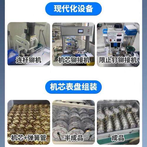 （ELECAL-L)轴向不锈0钢耐震压力表真空/表油表NYTN60Z/Y6Z