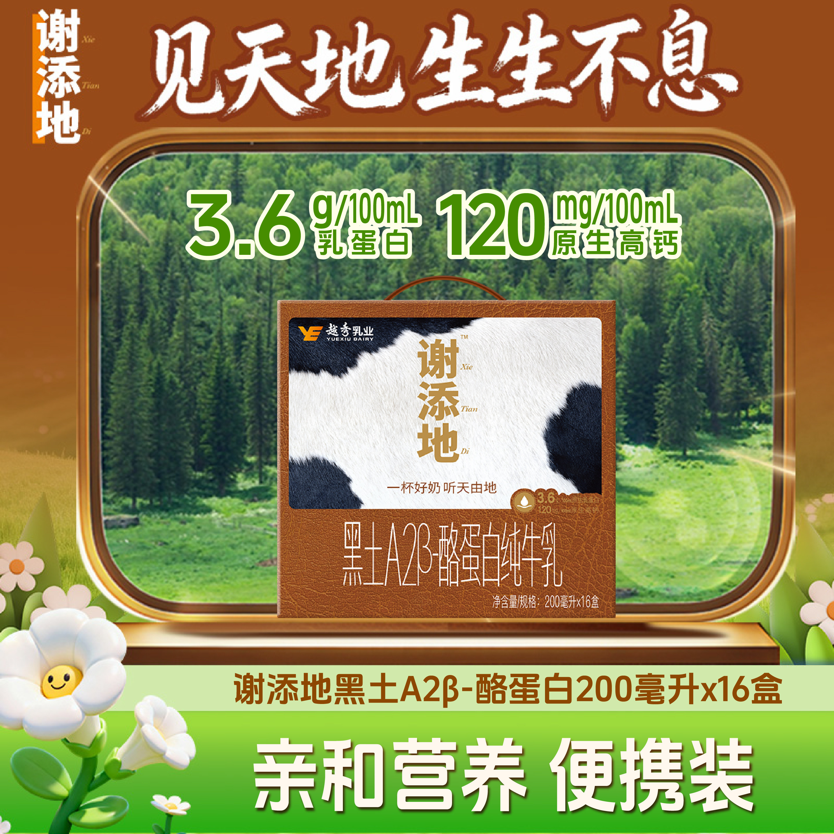 16盒谢添地黑土A2&beta;-酪蛋白纯牛乳牛奶3.6g蛋白A2型牛奶营养早餐