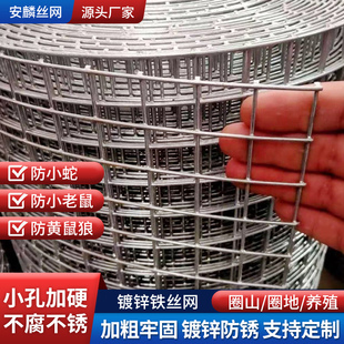 镀锌钢丝网围栏网鸡鸭鹅兔鸟笼养殖网鼠蛇防护网钢丝围栏网养殖网