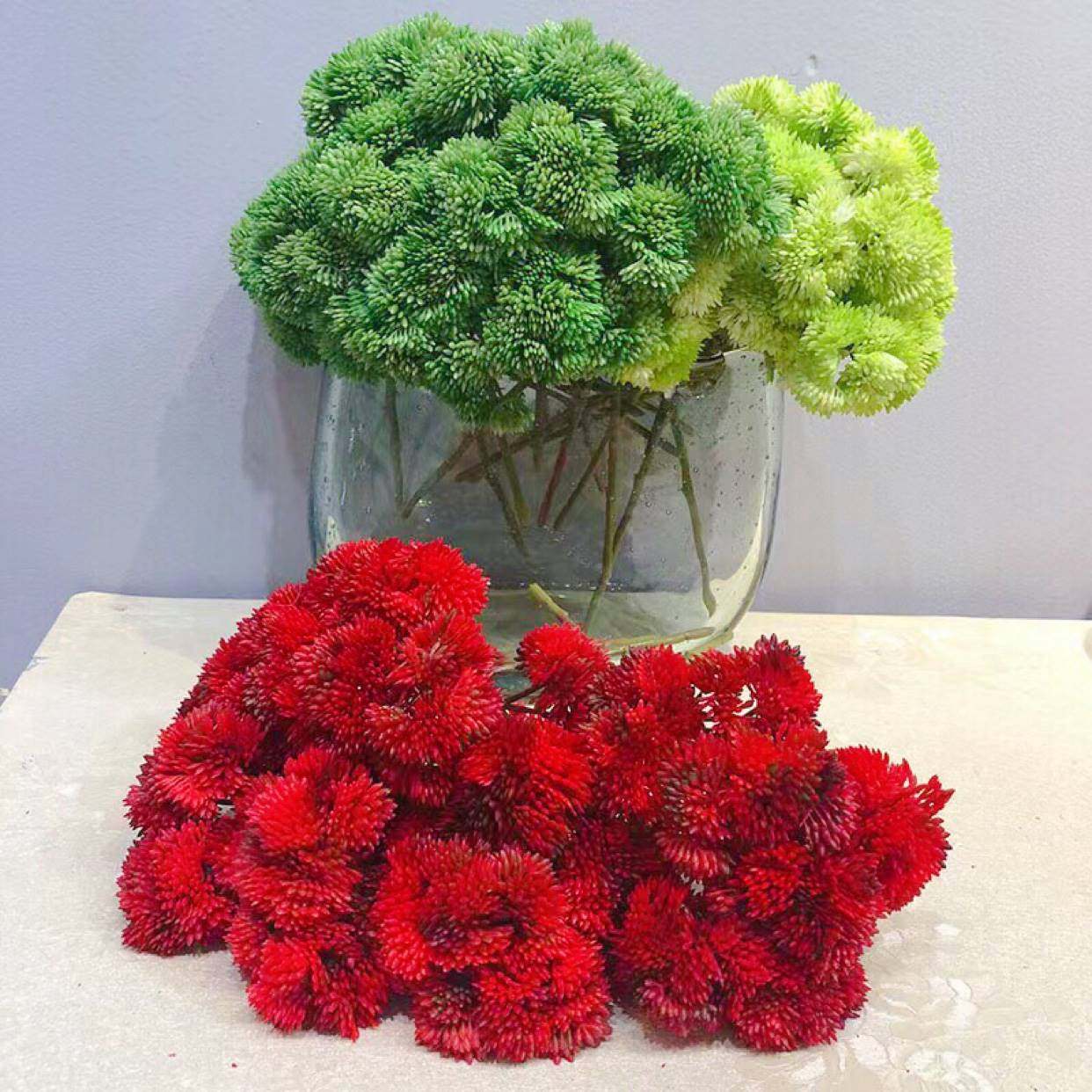 软胶米仔果仿真花厂家 绣球果假花手感多肉植物软装花艺软胶花菜,家居饰品,仿真花/假花,淘宝优惠券,粉丝福利购,淘宝优惠卷