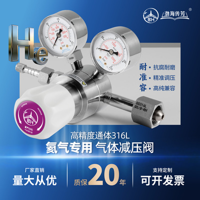 氦气减压阀316L不锈钢实验室半导体高纯He专用惰性气体钢瓶减压器