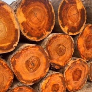 马拉丝MAL原木板材 装饰家具工艺品木雕乐器体育台球杆马拉丝木料