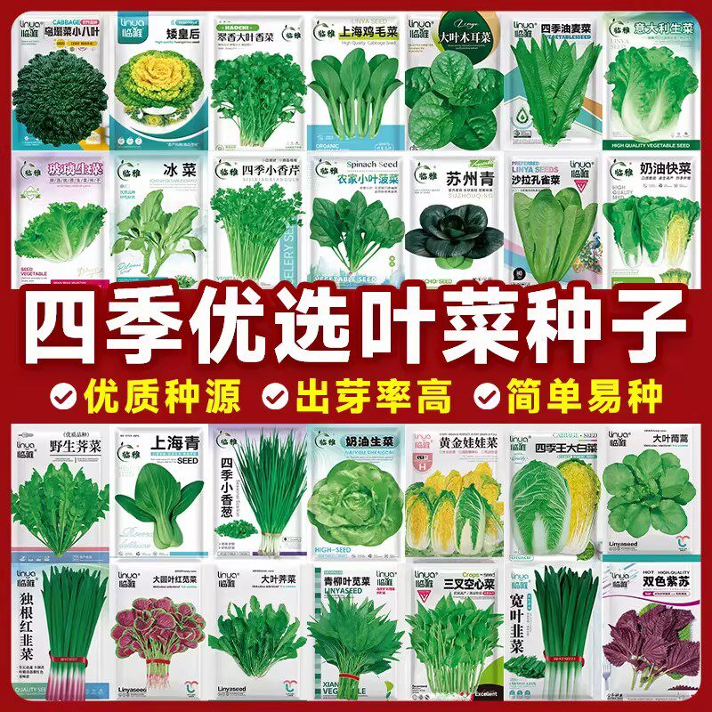 四季优选叶菜种子大全快菜白菜生菜菠菜油麦菜香菜耐热耐寒春秋种