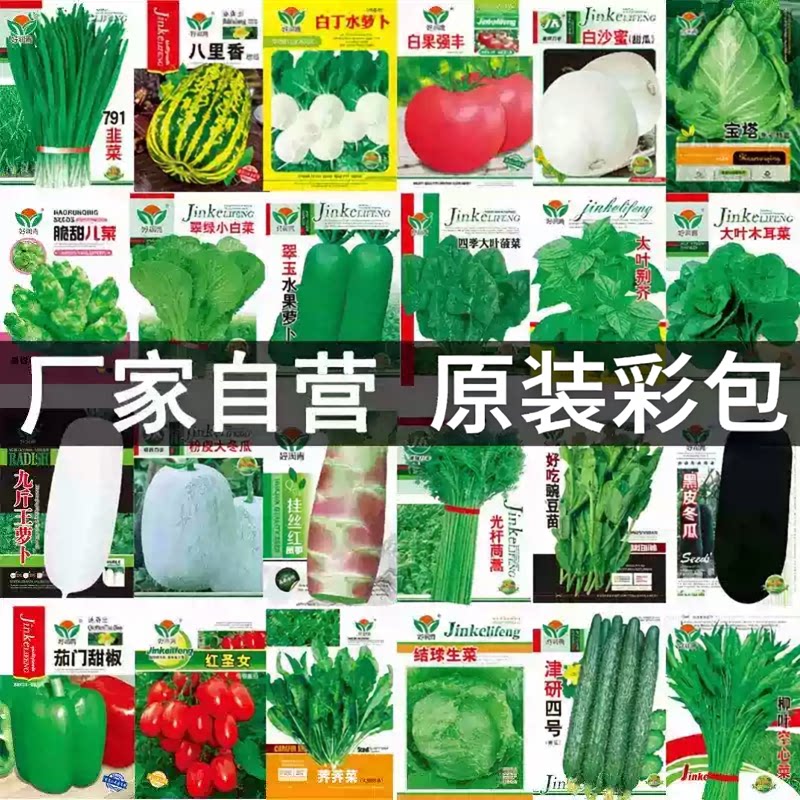 四季青菜种子大全阳台盆栽香菜油菜生菜蔬菜种籽菜籽春秋耐热耐寒