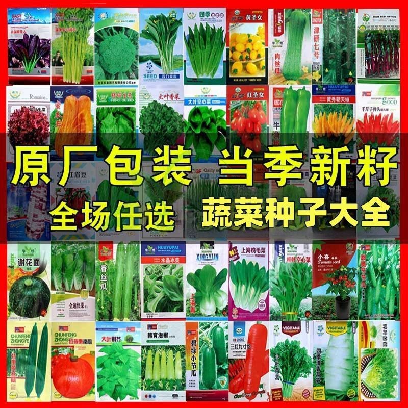 四季冬季种的菜种子旱黄瓜白菜胡萝卜生菜香菜空心菜耐热耐湿蔬菜