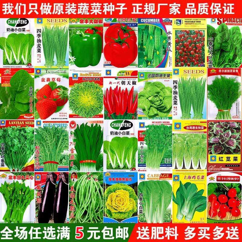 蔬菜种子香菜籽四季阳台盆栽生菜番茄萝卜上海青菠菜种籽孑子大全
