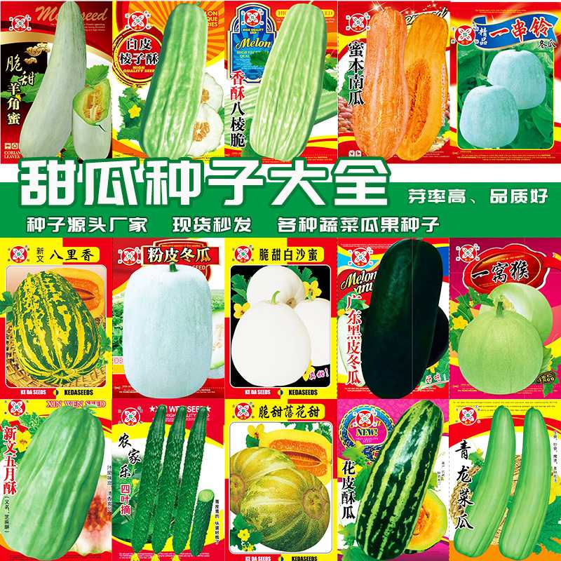 春秋甜瓜种子蔬果种子水果香瓜西瓜哈密瓜种子甜瓜种子多款瓜种子