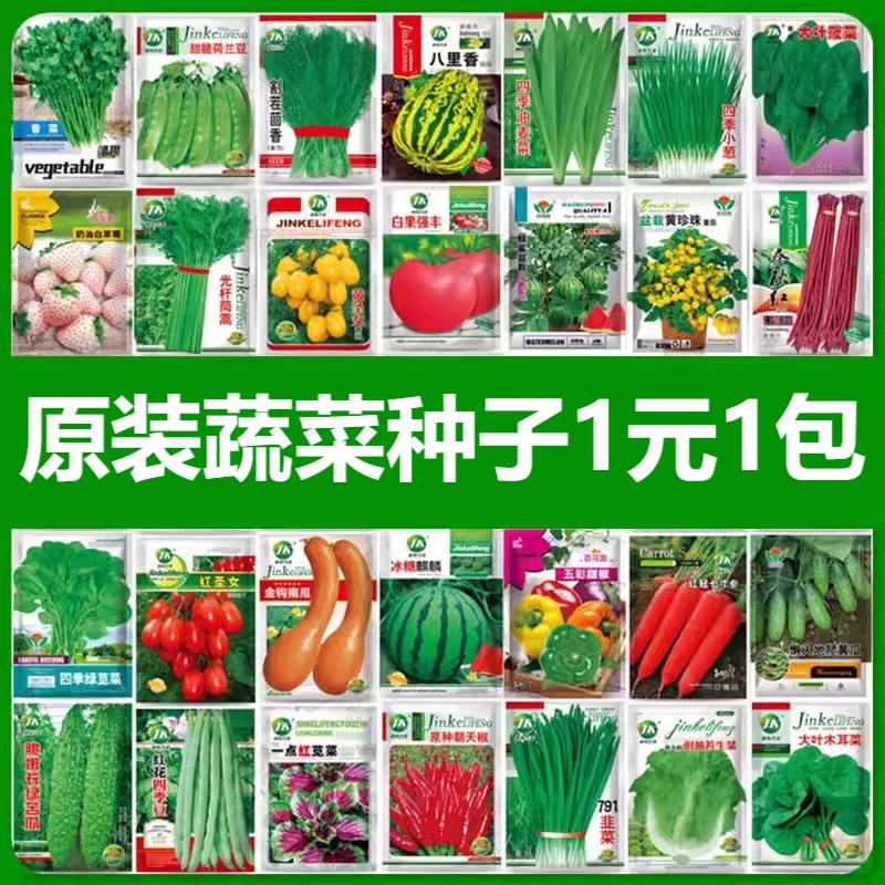 四季蔬菜种子盆栽番茄辣椒生菜草莓丝瓜苦瓜甜瓜种籽大全高产耐寒