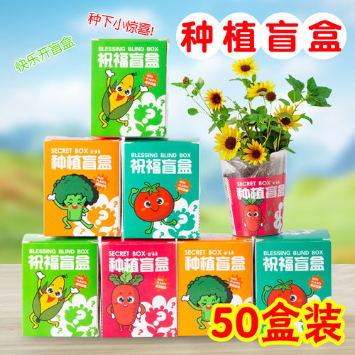 种植绿植小盆栽花种子盲盒奖品小学生义卖小商品幼儿园小礼品礼物