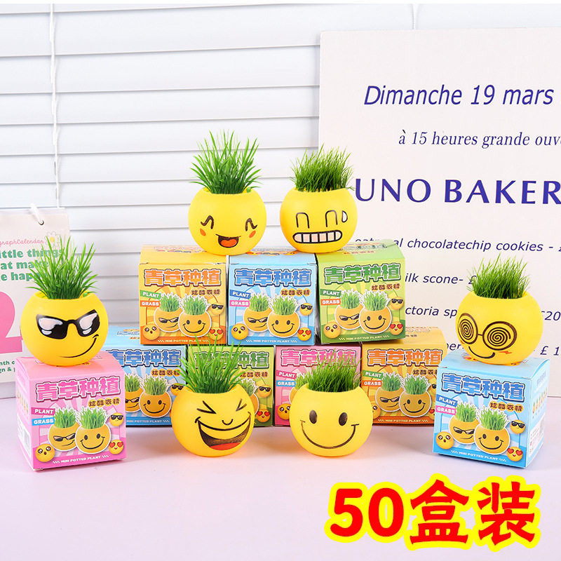 种植绿植小盆栽创意表情盲盒小学生班级活动义卖小商品小礼品礼物