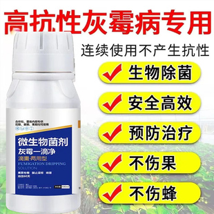 【灰霉一滴净】一亩一瓶防治灰霉病叶霉病持效60天