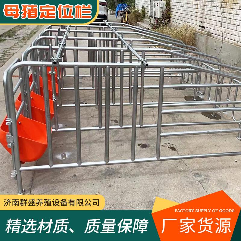 母猪定位栏限位栏猪圈栏位养猪用复合漏粪板母猪产床保育半限位栏