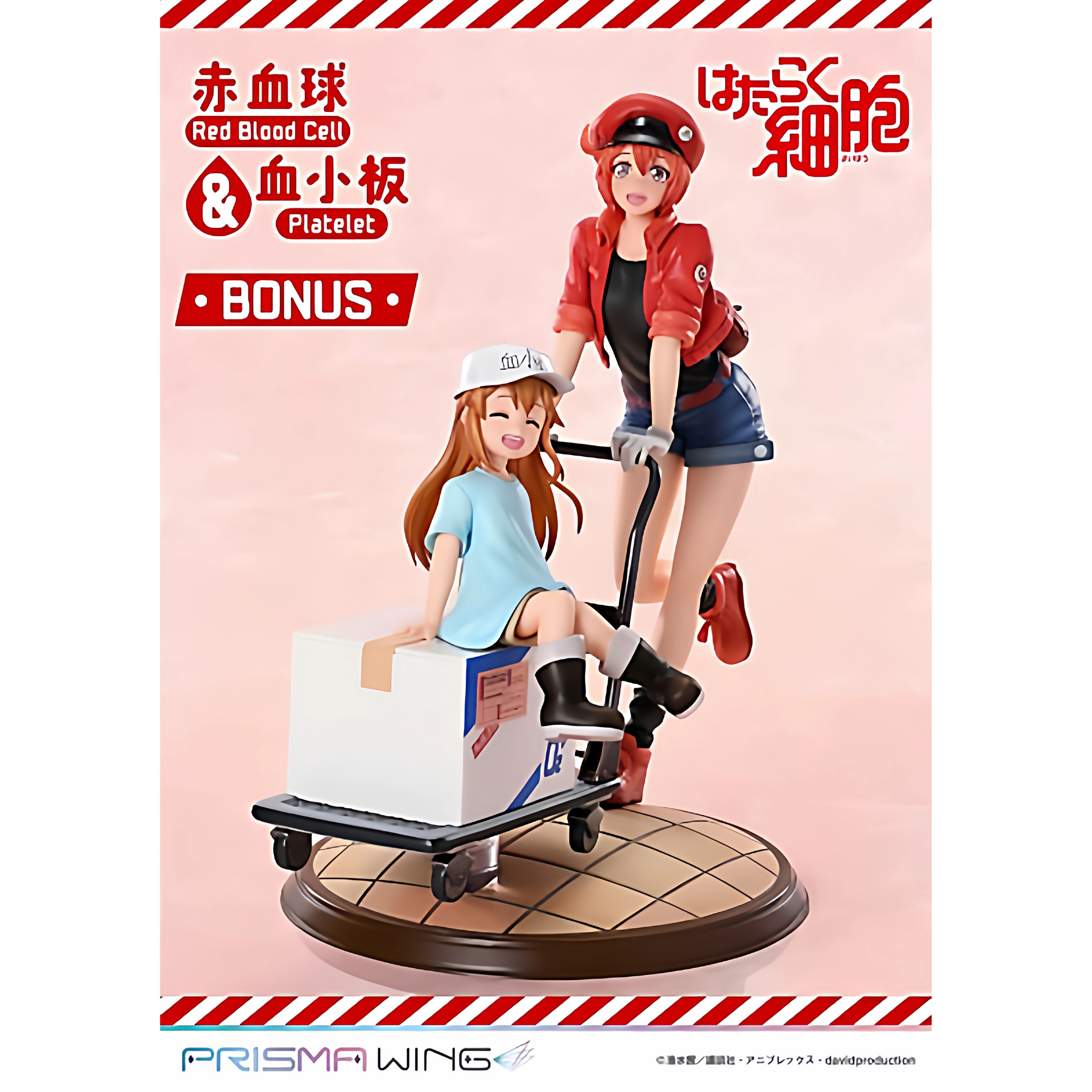 P1S工作细胞红血球血小板