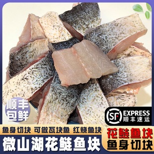 微山湖新鲜花鲢鱼鱼身切块野捕胖头鱼肉块淡水鲢鳙瓦块鱼生鲜顺丰