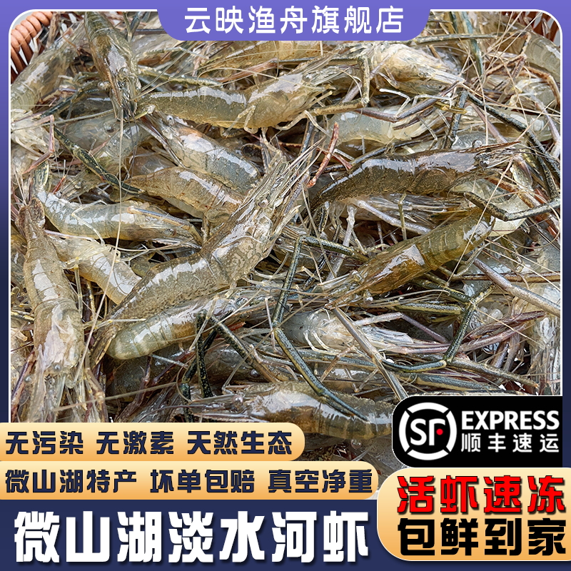 微山湖清水河虾新鲜现货顺丰