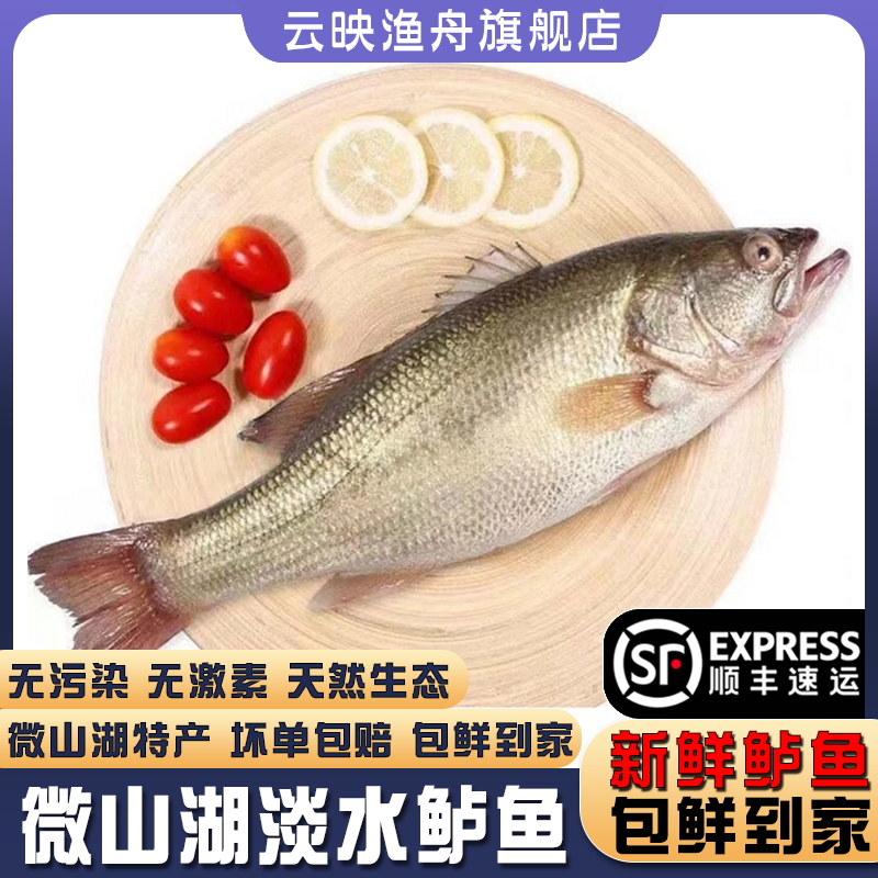 微山湖淡水鲈鱼新鲜现杀顺丰