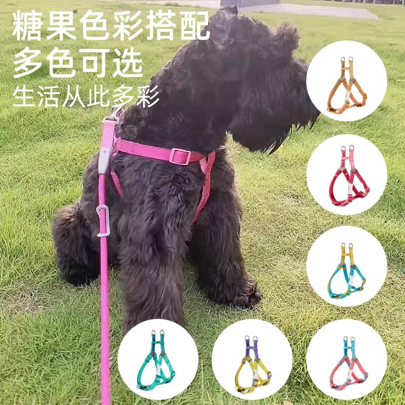 新款狗狗牵引绳糖果撞色