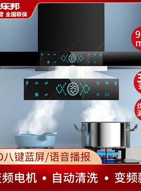 _乐邦顶吸式家用抽油烟机自动清洗厨房小型变频大吸力吸烟机特价