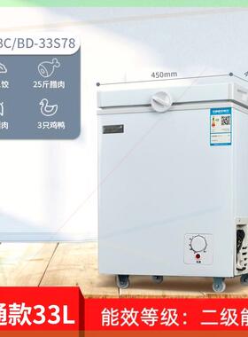 冰柜小型一级能效节能家用速冻大容量冷藏冷冻两用雪糕柜冷柜