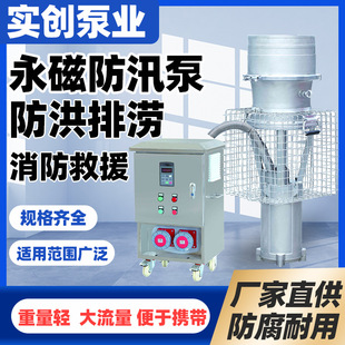 永磁防汛泵不锈钢大流量高扬程应急抢险防洪排涝变频潜水泵 便携式