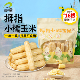 西双版 瑞利来 纳拇指玉米新鲜甜糯黏早餐杂粮 所有女生直播间