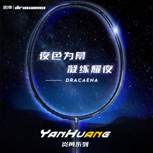 全碳素高强度中杆羽毛球拍