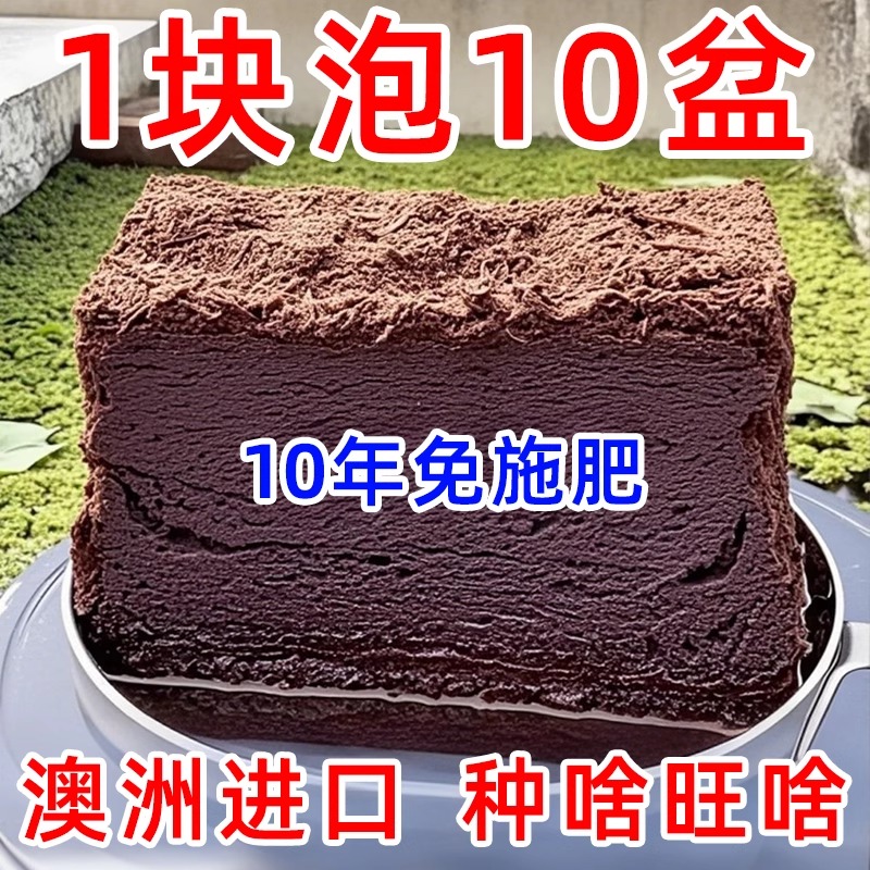 澳大利亚椰砖泥土种菜通用阳台种植蔬菜无盐花盆家用种菜通用户外