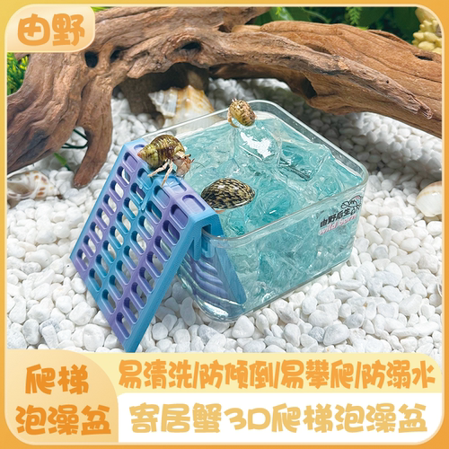 寄居蟹3D爬梯淡海水泡澡盆