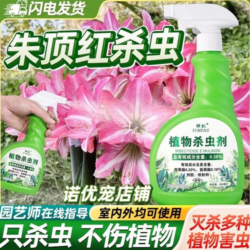 朱顶红杀虫剂除虫打虫药不伤植物