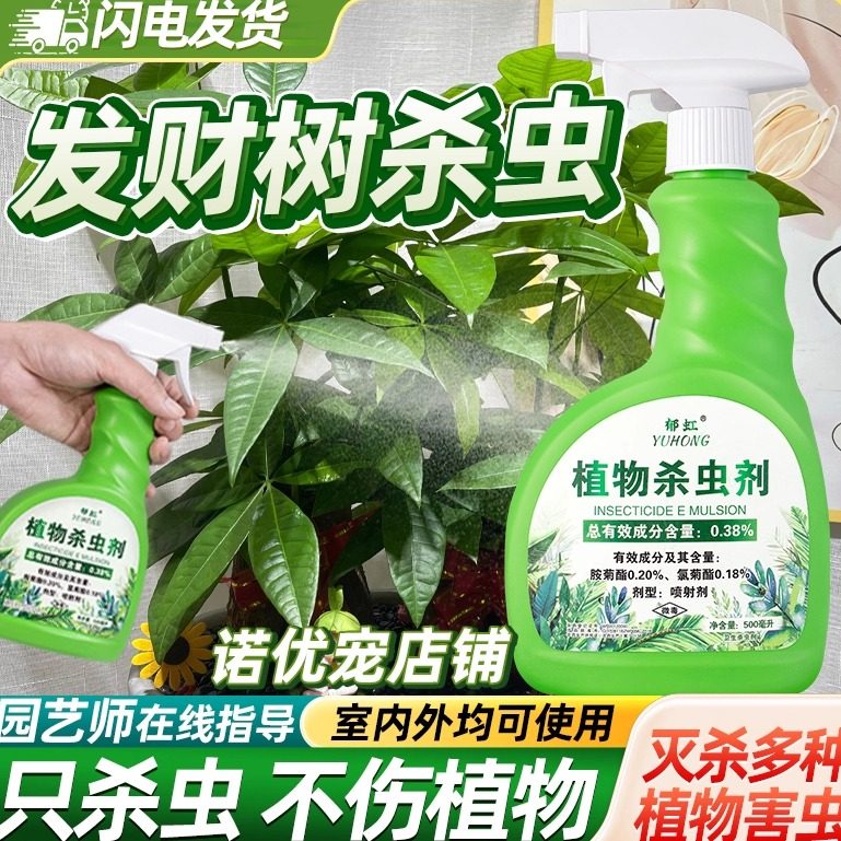 发财树杀虫剂专用药土壤除虫有虫子驱虫长虫喷剂虫害生防虫非杀菌,洗护清洁剂/卫生巾/纸/香薰,杀虫剂（卫生农药）,淘宝优惠券,粉丝福利购,淘宝优惠卷