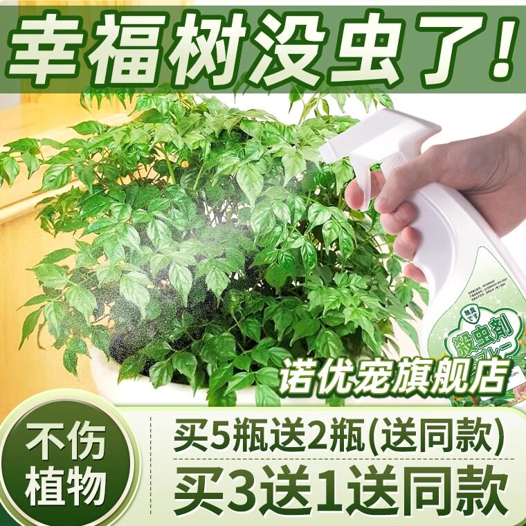 治幸福树去虫药杀虫剂家用室内辛福除发财招财驱虫药小黑飞灭虫剂