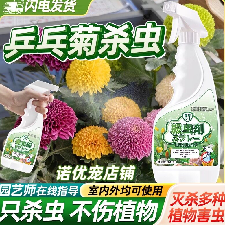 木菊花乒乓菊杀虫剂除虫打虫药虫害蚜虫专用虫药芽虫白粉虱蚧壳虫