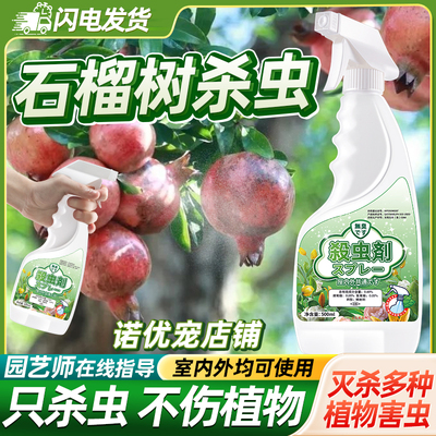 石榴树花害虫杀虫剂专用药灭杀