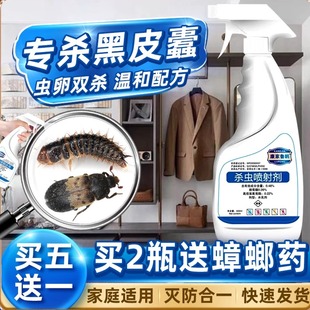 毡黑皮蠹杀虫剂皮去虫专杀黑皮蠹虫小圆蠹驱消灭治虫防去皮去除灭