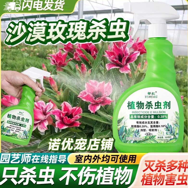 沙漠玫瑰杀虫剂专用药生虫驱虫蚧壳虫除灭用药虫害防虫红蜘蛛卷心