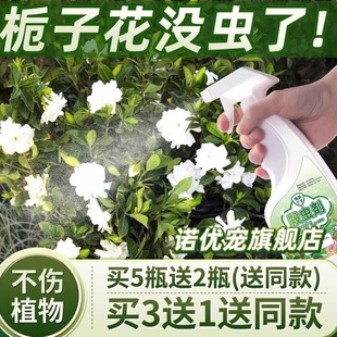 杀栀子花杀虫水乳剂枝枝花蚧壳虫桅子打栀药子花蜜虫药花生虫子虫