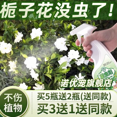 栀子花害虫杀虫剂神器克星喷雾