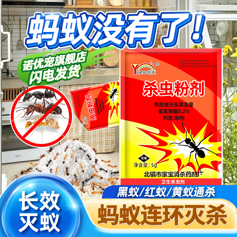 灭杀家里蚂蚁药粉杀虫剂神器